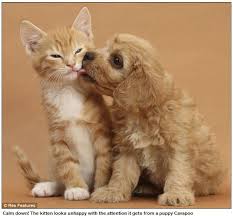 いつでもご相談ください