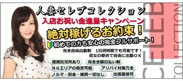 人妻セレブコレクション